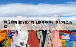 林芝巅峰旅行社？林芝巅峰旅游开发公司怎么样