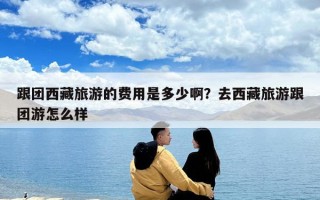 跟团西藏旅游的费用是多少啊？去西藏旅游跟团游怎么样