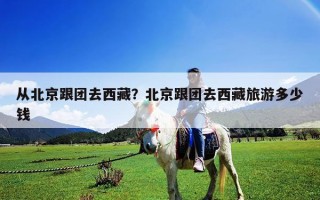 从北京跟团去西藏？北京跟团去西藏旅游多少钱