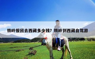 铁岭报团去西藏多少钱？铁岭到西藏自驾游