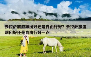 去拉萨旅游跟团好还是自由行好？去拉萨旅游跟团好还是自由行好一点