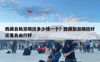 西藏自助游跟团多少钱一个？西藏旅游跟团好还是自由行好