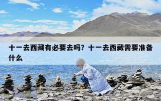 十一去西藏有必要去吗？十一去西藏需要准备什么
