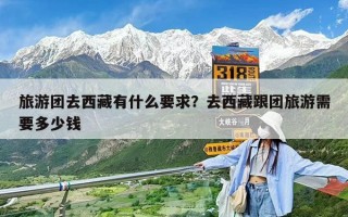 旅游团去西藏有什么要求？去西藏跟团旅游需要多少钱