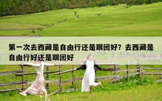 第一次去西藏是自由行还是跟团好？去西藏是自由行好还是跟团好