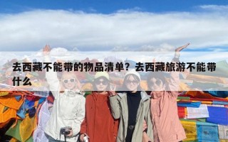 去西藏不能带的物品清单？去西藏旅游不能带什么