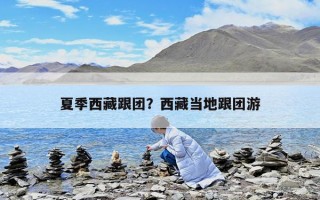 夏季西藏跟团？西藏当地跟团游