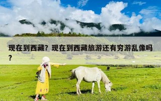 现在到西藏？现在到西藏旅游还有穷游乱像吗?