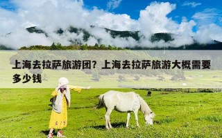 上海去拉萨旅游团？上海去拉萨旅游大概需要多少钱