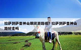 拉萨到萨普神山跟团游路线？拉萨到萨普神山路好走吗