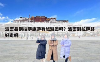 波密县到拉萨旅游有旅游团吗？波密到拉萨路好走吗