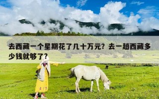 去西藏一个星期花了几十万元？去一趟西藏多少钱就够了?