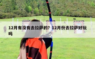 12月有没有去拉萨的？12月份去拉萨好玩吗