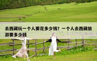去西藏玩一个人要花多少钱？一个人去西藏旅游要多少钱