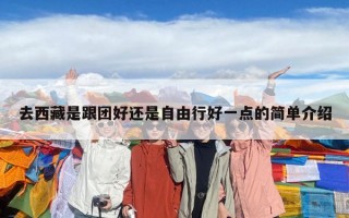 去西藏是跟团好还是自由行好一点的简单介绍