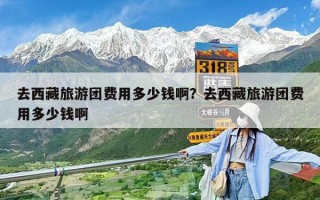 去西藏旅游团费用多少钱啊？去西藏旅游团费用多少钱啊