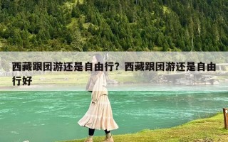 西藏跟团游还是自由行？西藏跟团游还是自由行好