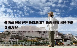 去西藏报团好还是自助游？去西藏报团好还是自助游好