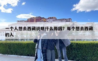 一个人想去西藏说明什么原因？每个想去西藏的人