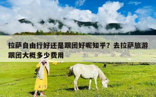 拉萨自由行好还是跟团好呢知乎？去拉萨旅游跟团大概多少费用