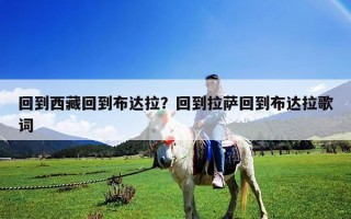 回到西藏回到布达拉？回到拉萨回到布达拉歌词