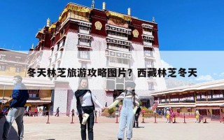 冬天林芝旅游攻略图片？西藏林芝冬天