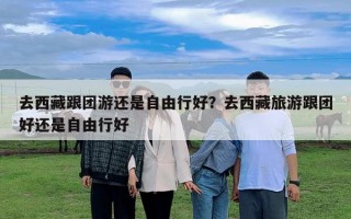 去西藏跟团游还是自由行好？去西藏旅游跟团好还是自由行好