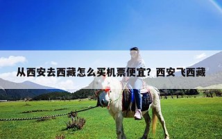 从西安去西藏怎么买机票便宜？西安飞西藏