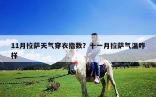 11月拉萨天气穿衣指数？十一月拉萨气温咋样