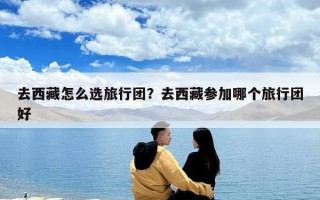 去西藏怎么选旅行团？去西藏参加哪个旅行团好