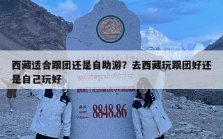 西藏适合跟团还是自助游？去西藏玩跟团好还是自己玩好