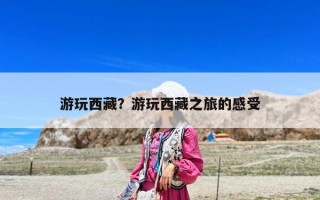 游玩西藏？游玩西藏之旅的感受