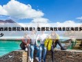 西藏鲁朗花海风景？鲁朗花海牧场景区海拔多少