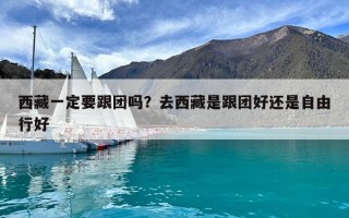 西藏一定要跟团吗？去西藏是跟团好还是自由行好
