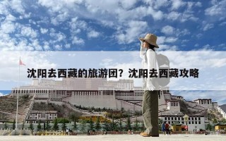 沈阳去西藏的旅游团？沈阳去西藏攻略
