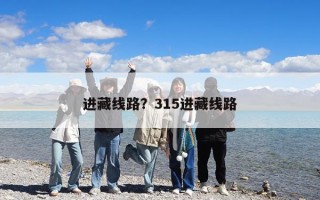 进藏线路？315进藏线路