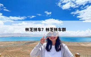 林芝拼车？林芝拼车群