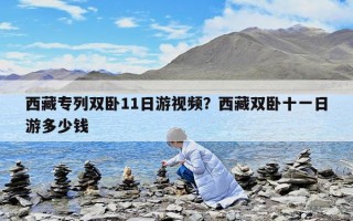 西藏专列双卧11日游视频？西藏双卧十一日游多少钱