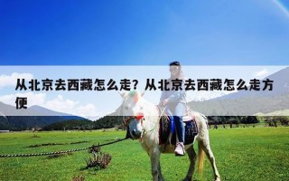 从北京去西藏怎么走？从北京去西藏怎么走方便