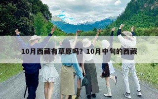 10月西藏有草原吗？10月中旬的西藏