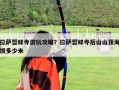 拉萨哲蚌寺游玩攻略？拉萨哲蚌寺后山山顶海拔多少米