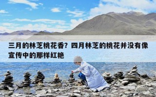 三月的林芝桃花香？四月林芝的桃花并没有像宣传中的那样红艳