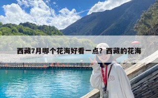 西藏7月哪个花海好看一点？西藏的花海