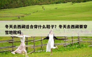 冬天去西藏适合穿什么鞋子？冬天去西藏要穿雪地靴吗
