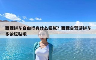 西藏拼车自由行有什么猫腻？西藏自驾游拼车多论坛贴吧