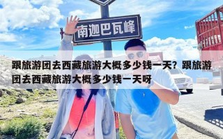 跟旅游团去西藏旅游大概多少钱一天？跟旅游团去西藏旅游大概多少钱一天呀