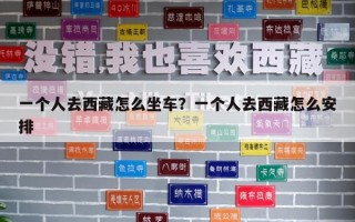 一个人去西藏怎么坐车？一个人去西藏怎么安排