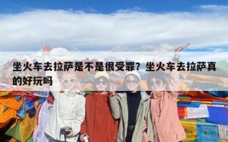 坐火车去拉萨是不是很受罪？坐火车去拉萨真的好玩吗