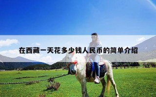 在西藏一天花多少钱人民币的简单介绍