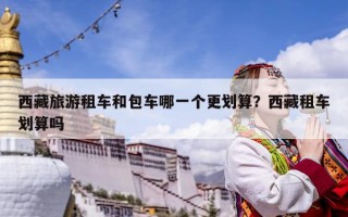 西藏旅游租车和包车哪一个更划算？西藏租车划算吗